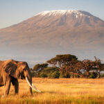 The Wonders of Amboseli National Park: Nature at Its Best 2025