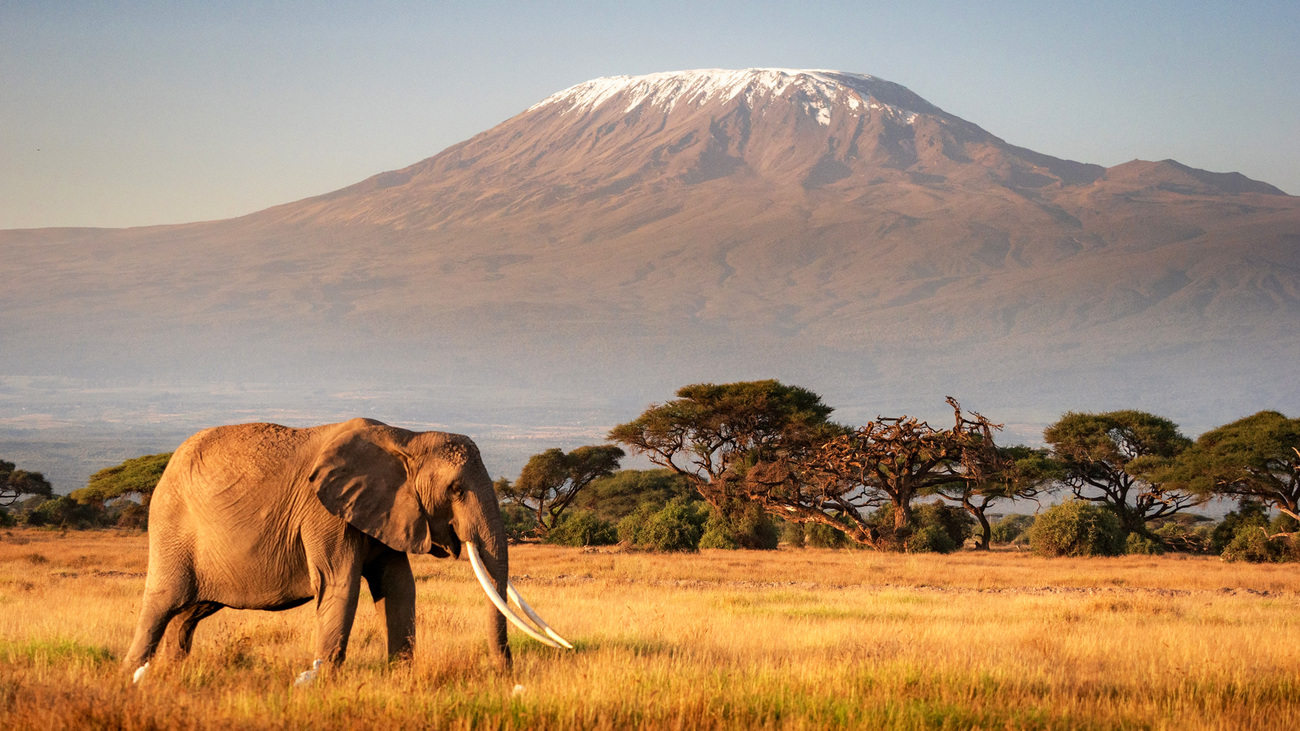 The Wonders of Amboseli National Park: Nature at Its Best 2025