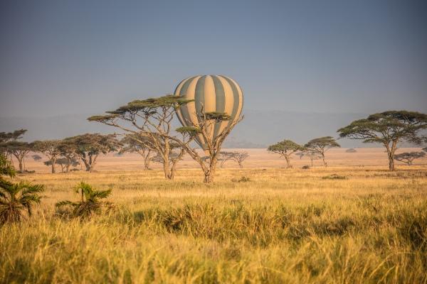 Balloon-Safari-in-the-Serengeti-Edit