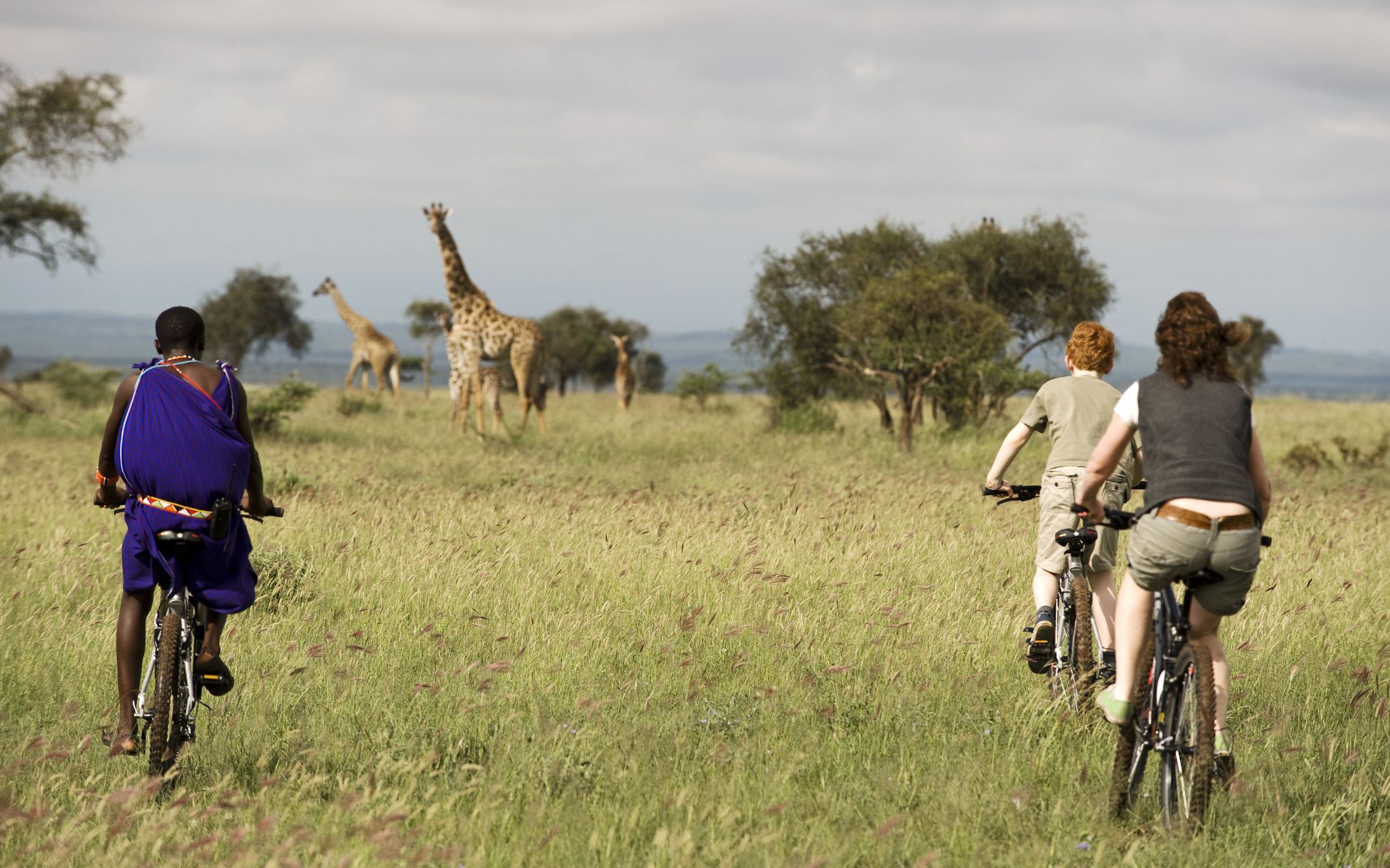 Best Time for a Kenya Safari: A Month-by-Month Guide for 2026