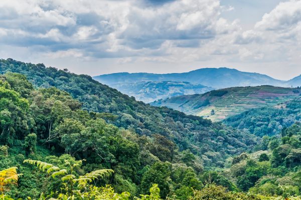 Bwindi-Impenetrable-National-Park-Weather