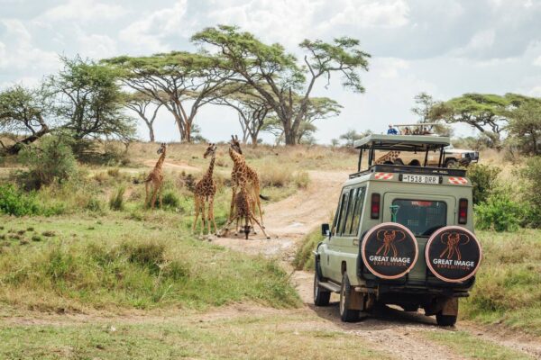 Local-Tour-Operator-for-Safari-in-Tanzania2-600x400