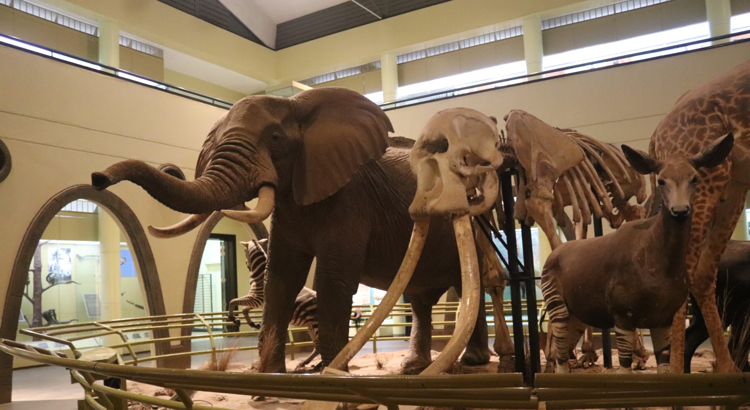 Nairobi National Museum: An Insight into Kenya’s Cultural Heritage