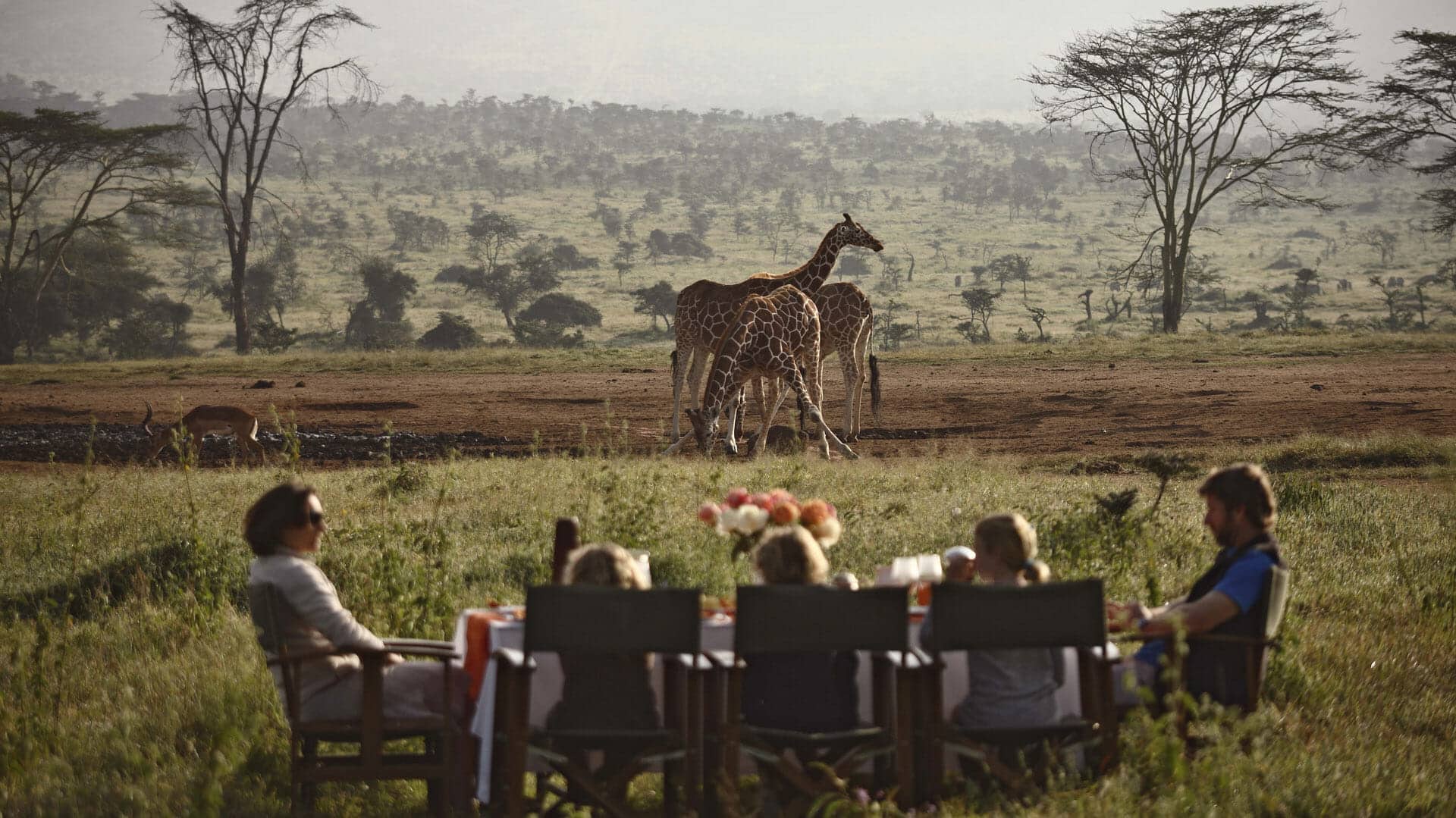 Unforgettable Journeys: Why a Safari in Kenya Should Top Your Travel List