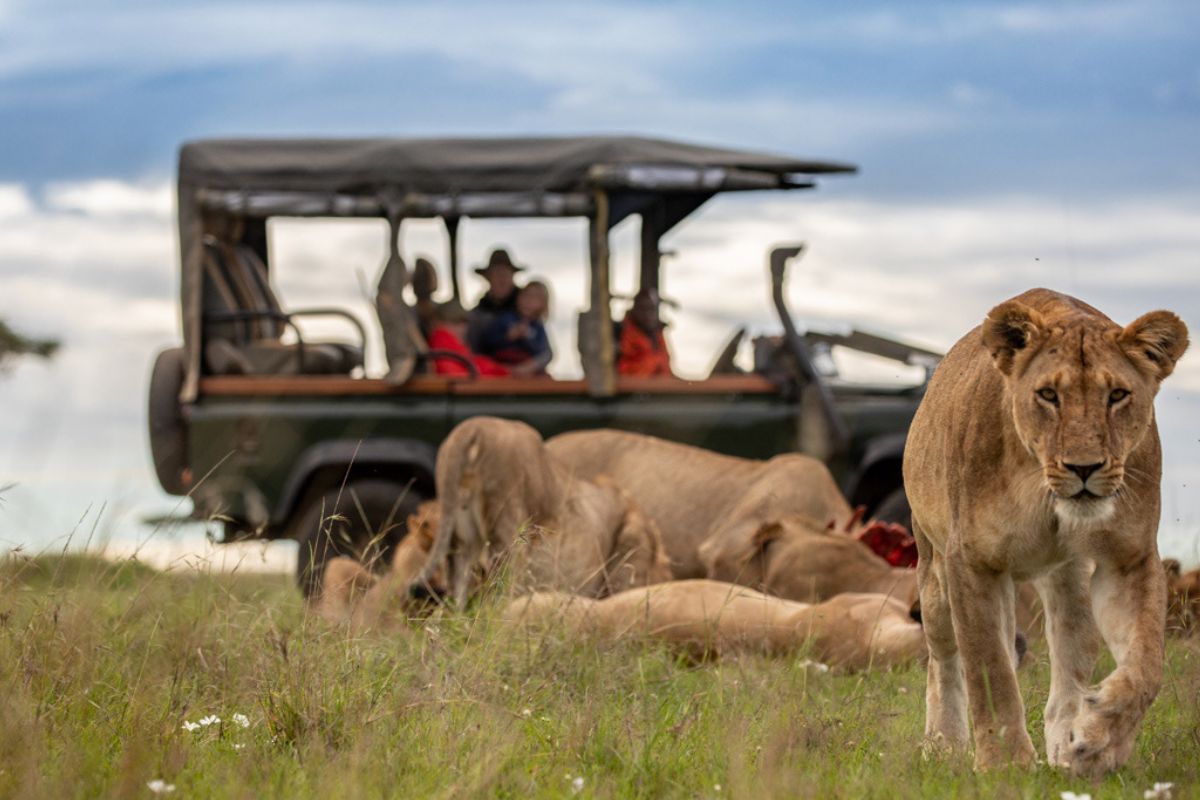Trek Africa photo gallery 3