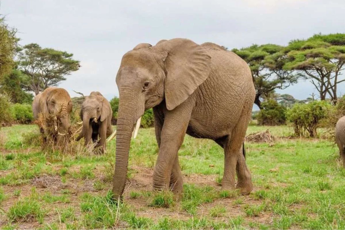 Trek Africa photo gallery 4