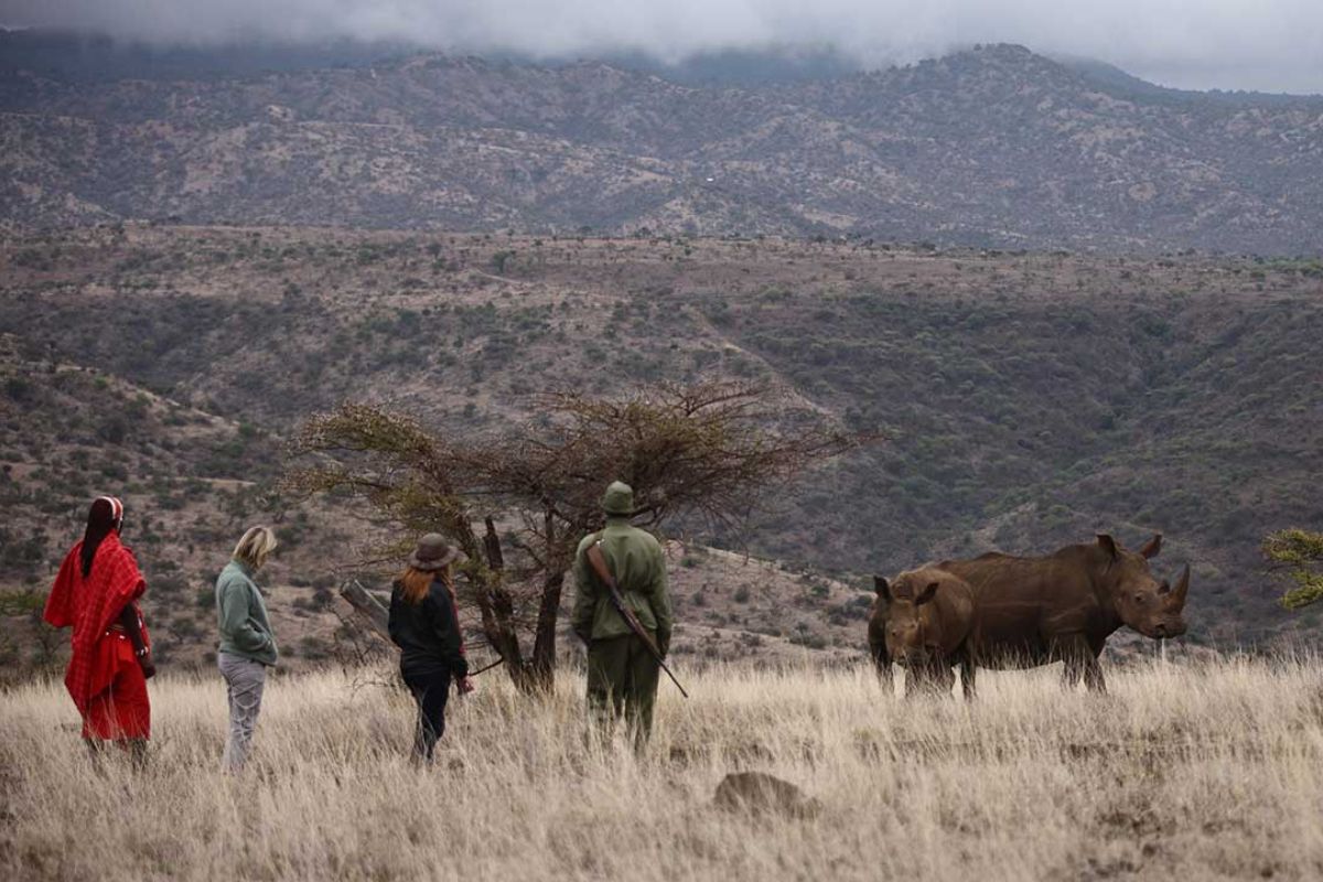 Trek Africa photo gallery 5