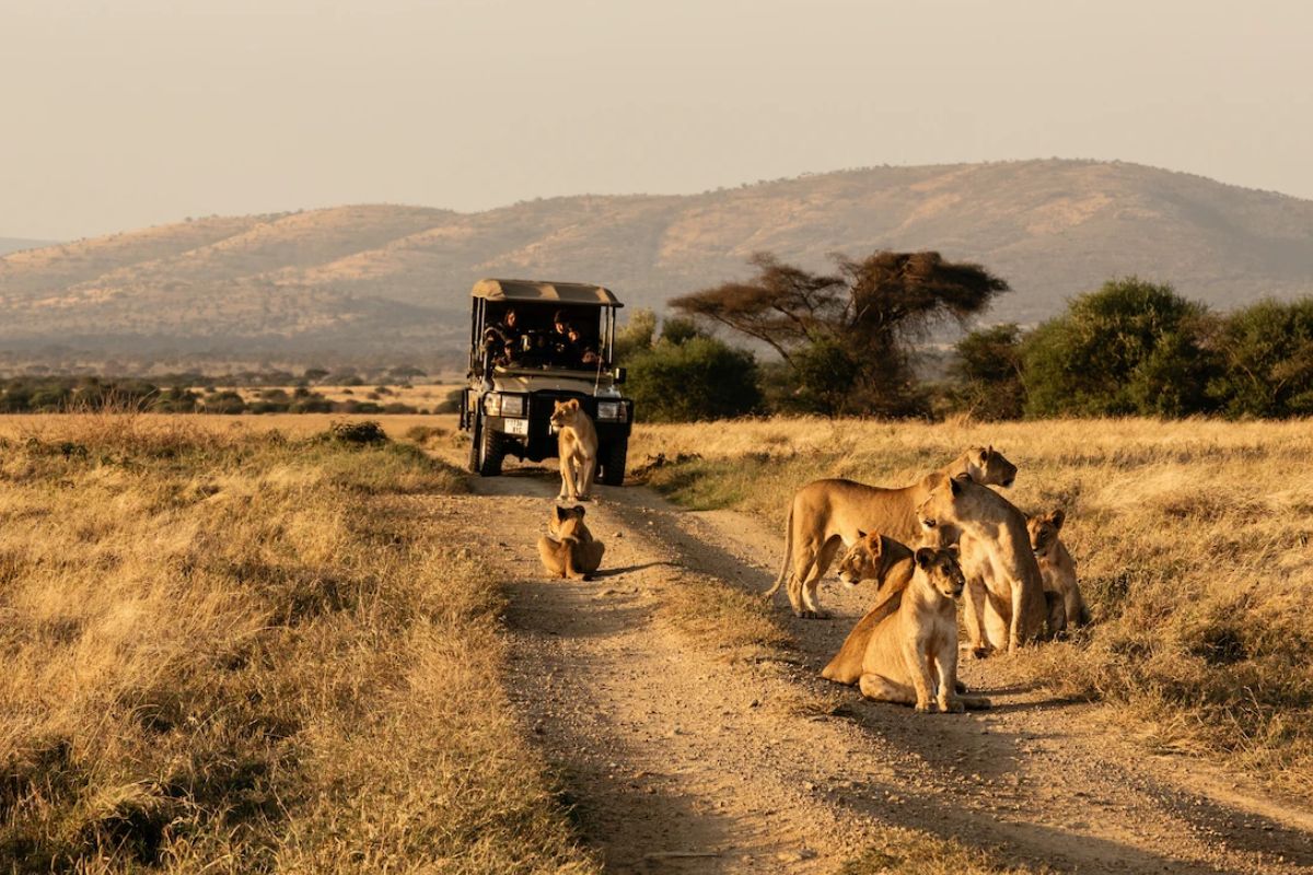 Trek Africa photo gallery 6