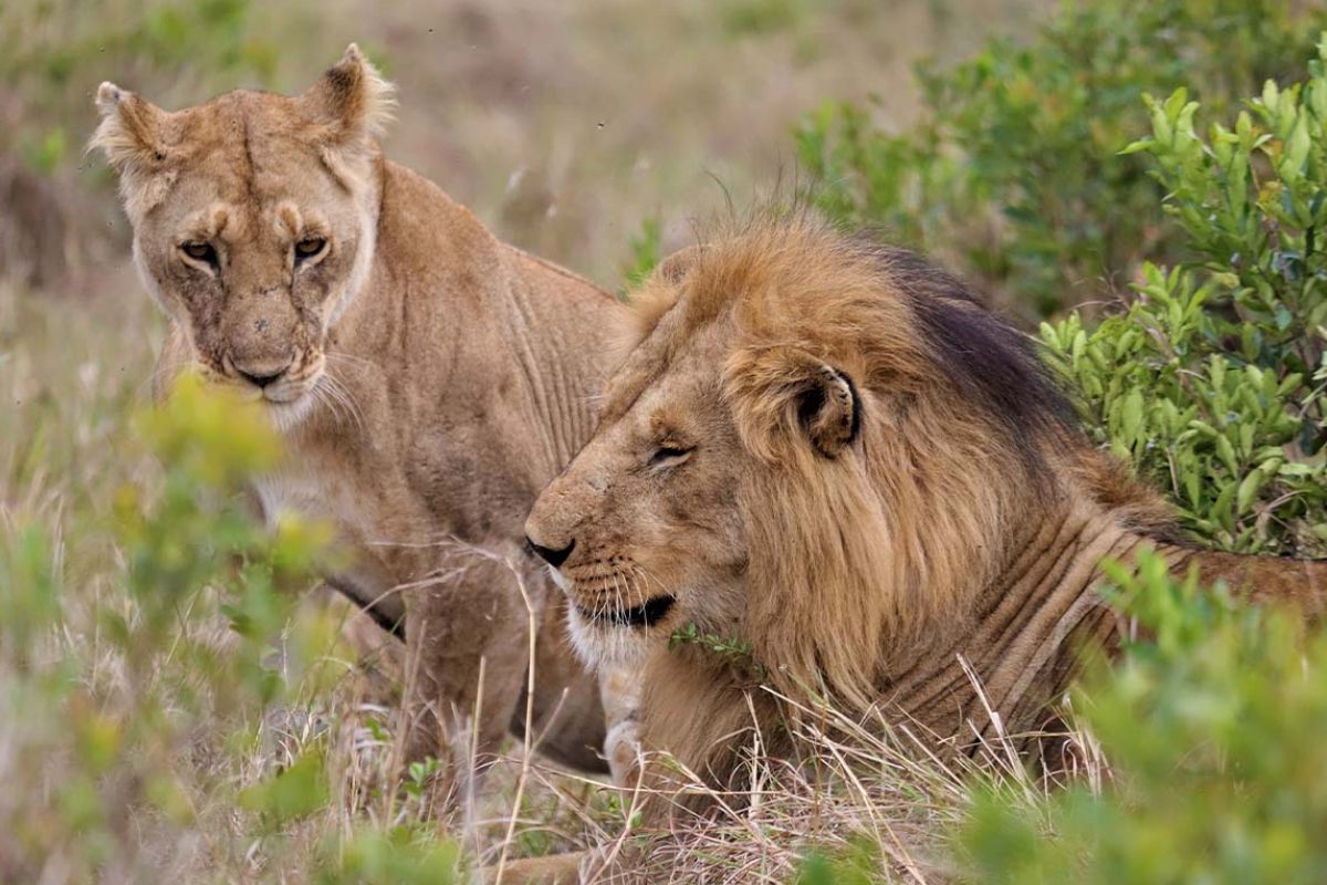 Trek Africa photo gallery 9