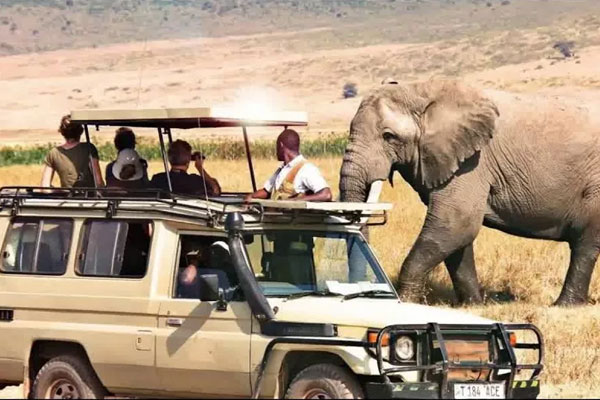 tanzania-travel-advice-tips-fig-1